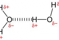 Detail Contoh Ikatan Hidrogen Nomer 47