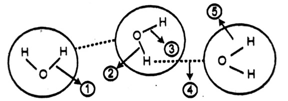 Detail Contoh Ikatan Hidrogen Nomer 10