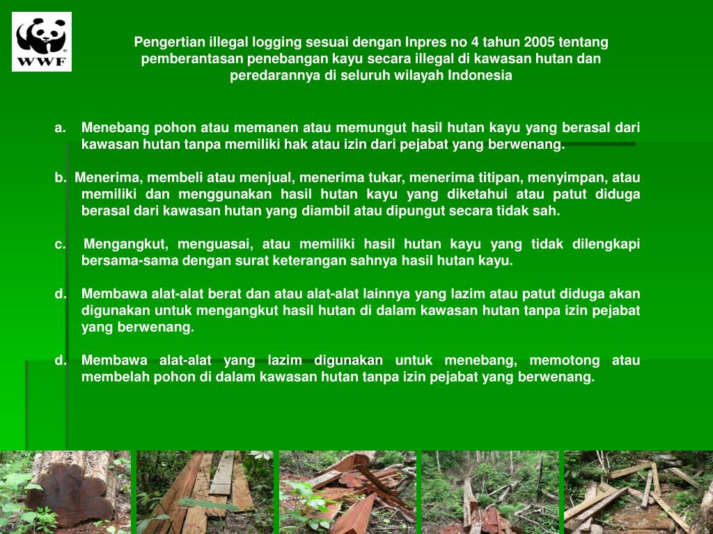 Detail Contoh Illegal Logging Nomer 45