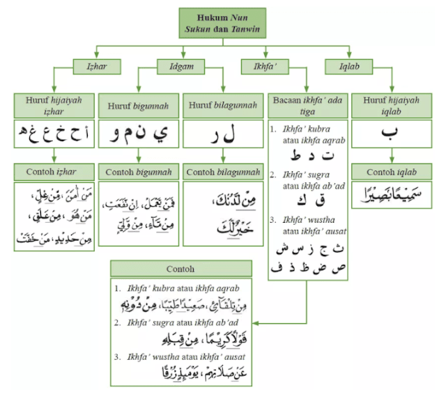 Detail Contoh Ilmu Tajwid Nomer 15