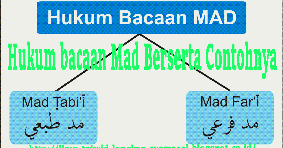 Detail Contoh Ilmu Tajwid Nomer 41