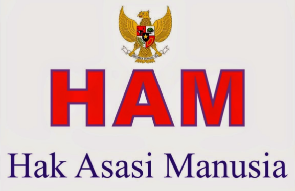 Detail Contoh Implementasi Ham Nomer 19