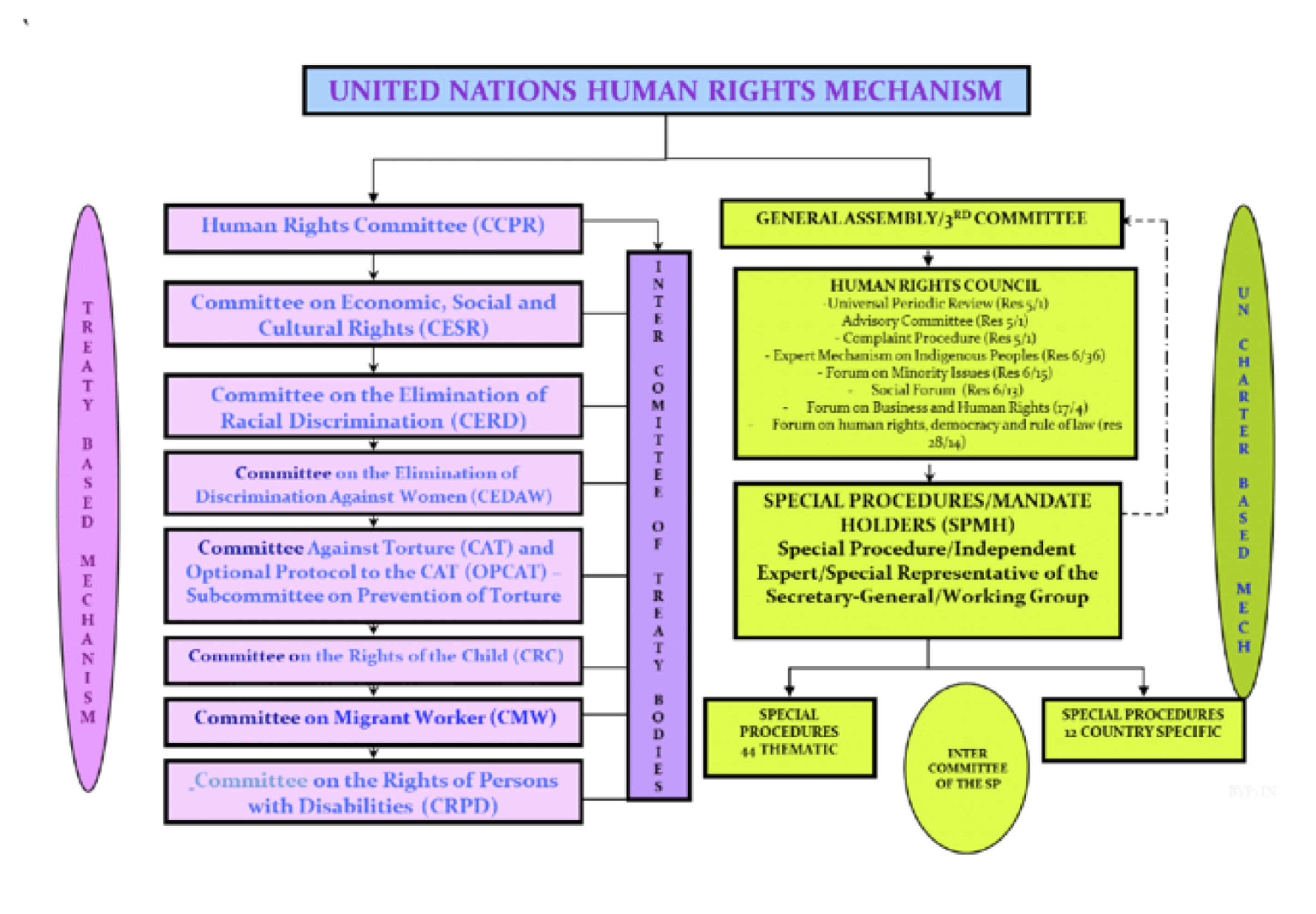 Detail Contoh Implementasi Ham Nomer 43