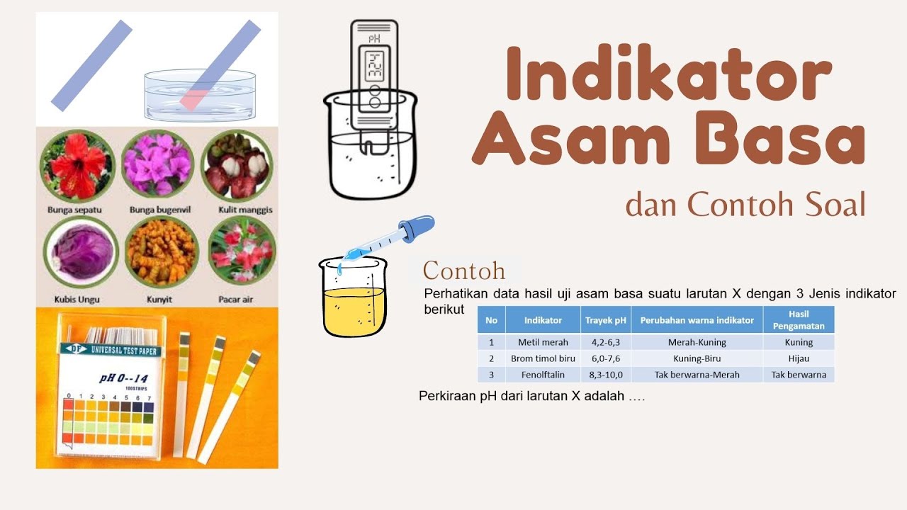 Detail Contoh Indikator Asam Basa Nomer 51