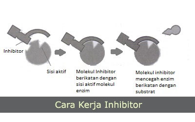 Detail Contoh Inhibitor Enzim Nomer 2