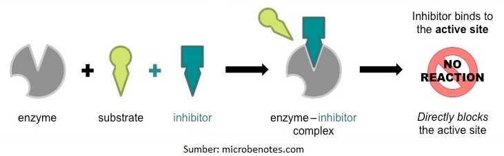 Detail Contoh Inhibitor Enzim Nomer 17