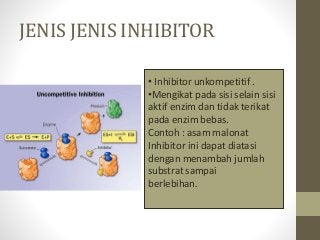 Detail Contoh Inhibitor Enzim Nomer 38