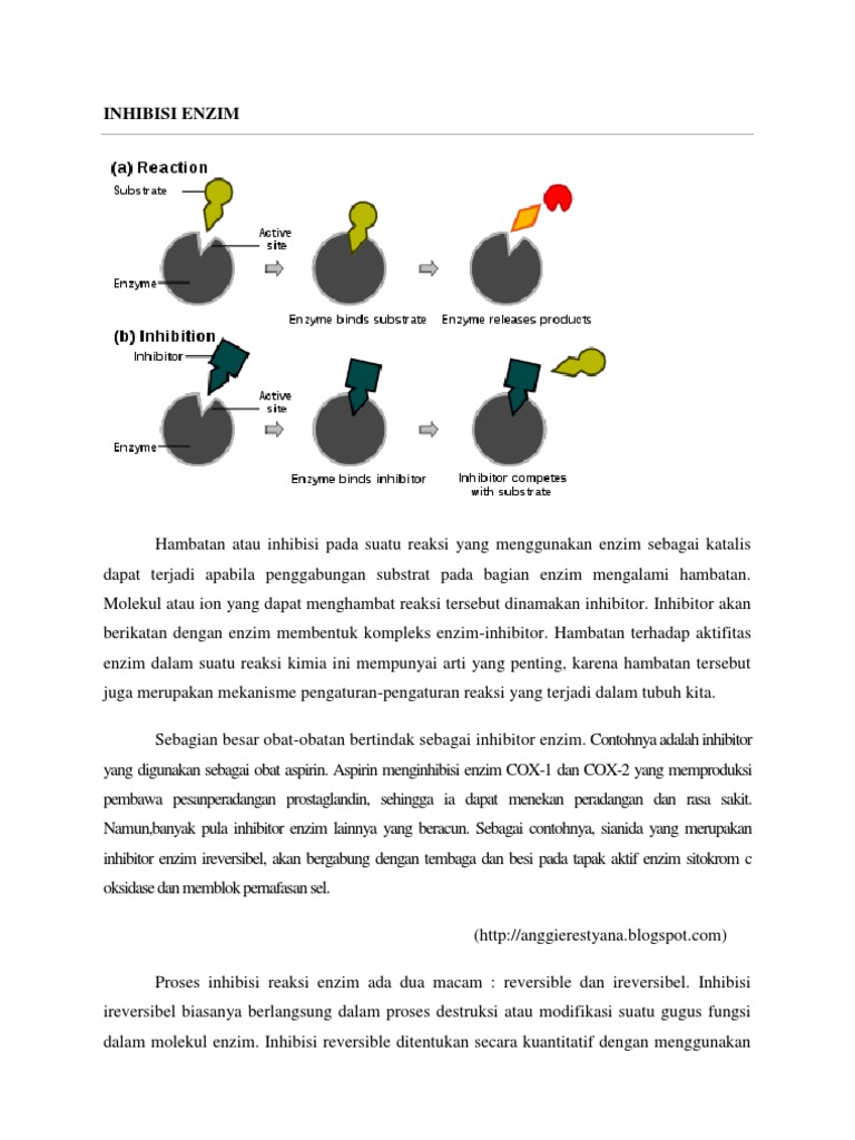 Detail Contoh Inhibitor Enzim Nomer 5