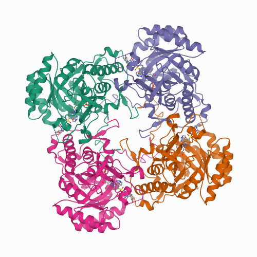 Detail Contoh Inhibitor Enzim Nomer 56