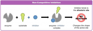 Detail Contoh Inhibitor Enzim Nomer 6