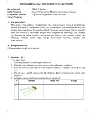 Detail Contoh Instrumen Tes Nomer 22