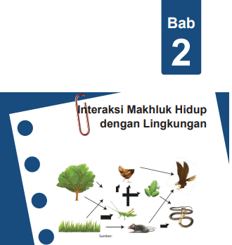 Detail Contoh Interaksi Makhluk Hidup Dengan Lingkungannya Nomer 22