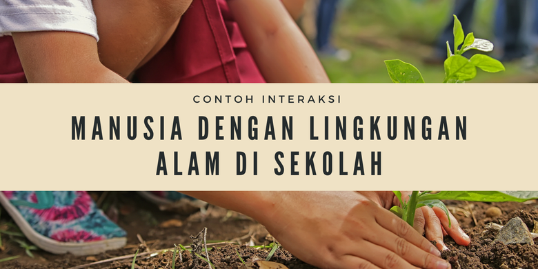 Detail Contoh Interaksi Sosial Yang Ada Di Sekolah Nomer 17