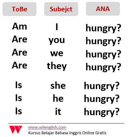 Detail Contoh Interrogative Sentence Nomer 5
