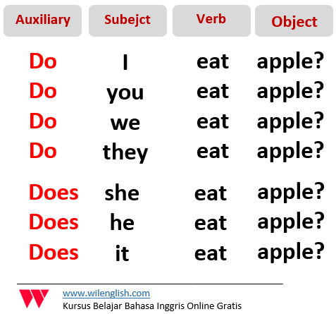 Detail Contoh Interrogative Sentence Nomer 7