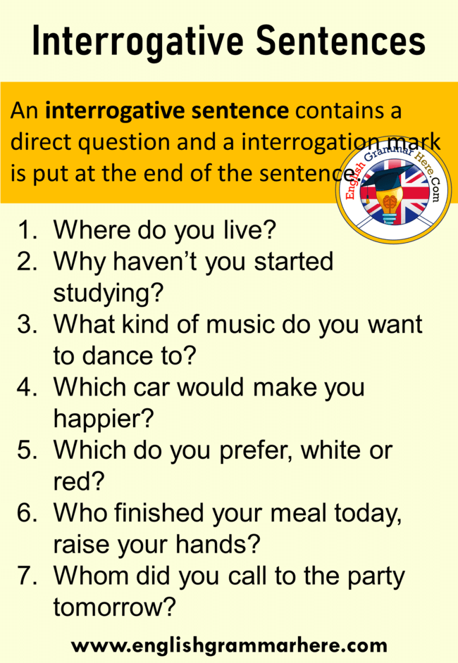 Detail Contoh Interrogative Sentence Nomer 8