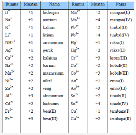 Detail Contoh Ion Positif Nomer 5