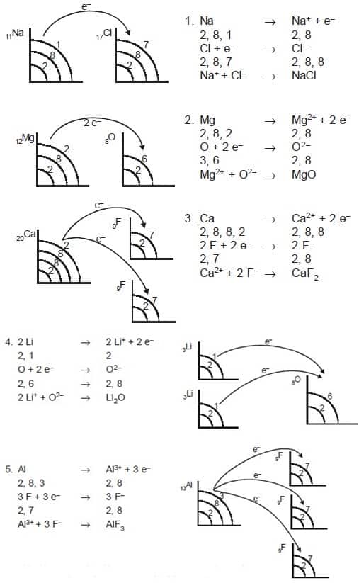 Detail Contoh Ion Positif Nomer 46