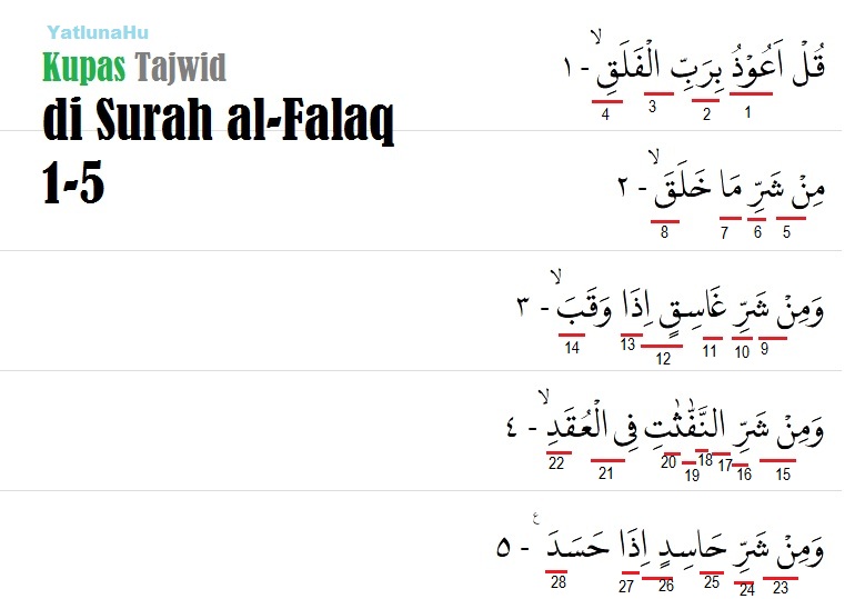 Detail Contoh Iqlab Dalam Al Quran Nomer 13