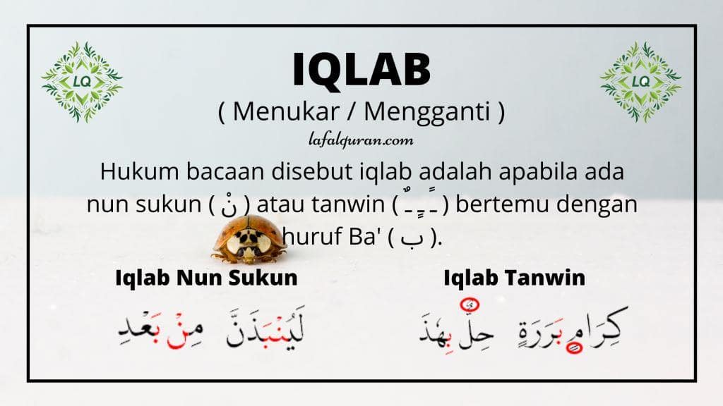 Detail Contoh Iqlab Dalam Al Quran Nomer 4