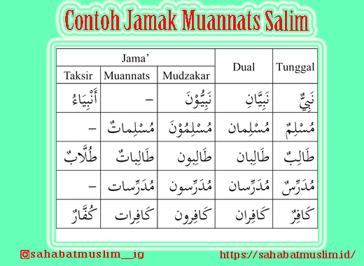 Detail Contoh Isim Mufrad Nomer 10