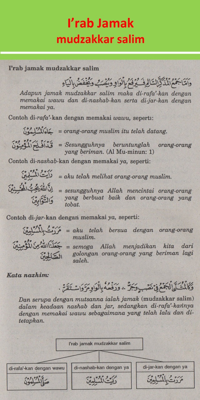 Detail Contoh Jamak Muannats Salim Dalam Al Quran Nomer 16