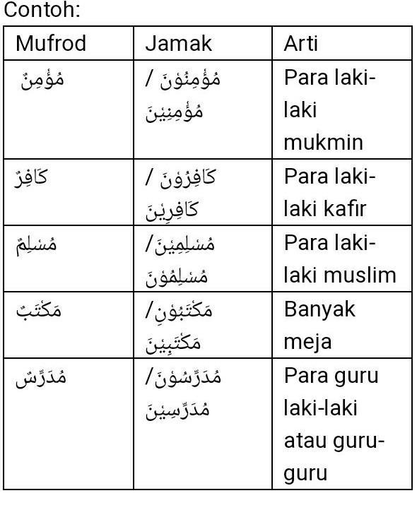 Detail Contoh Jamak Muannats Salim Dalam Al Quran Nomer 17