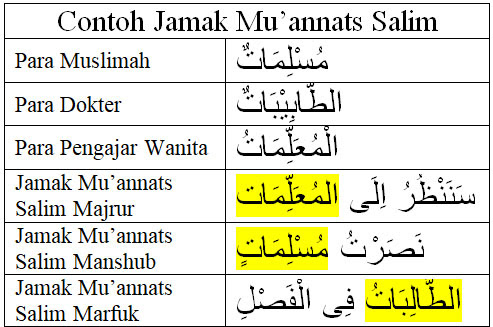 Detail Contoh Jamak Muannats Salim Dalam Al Quran Nomer 3