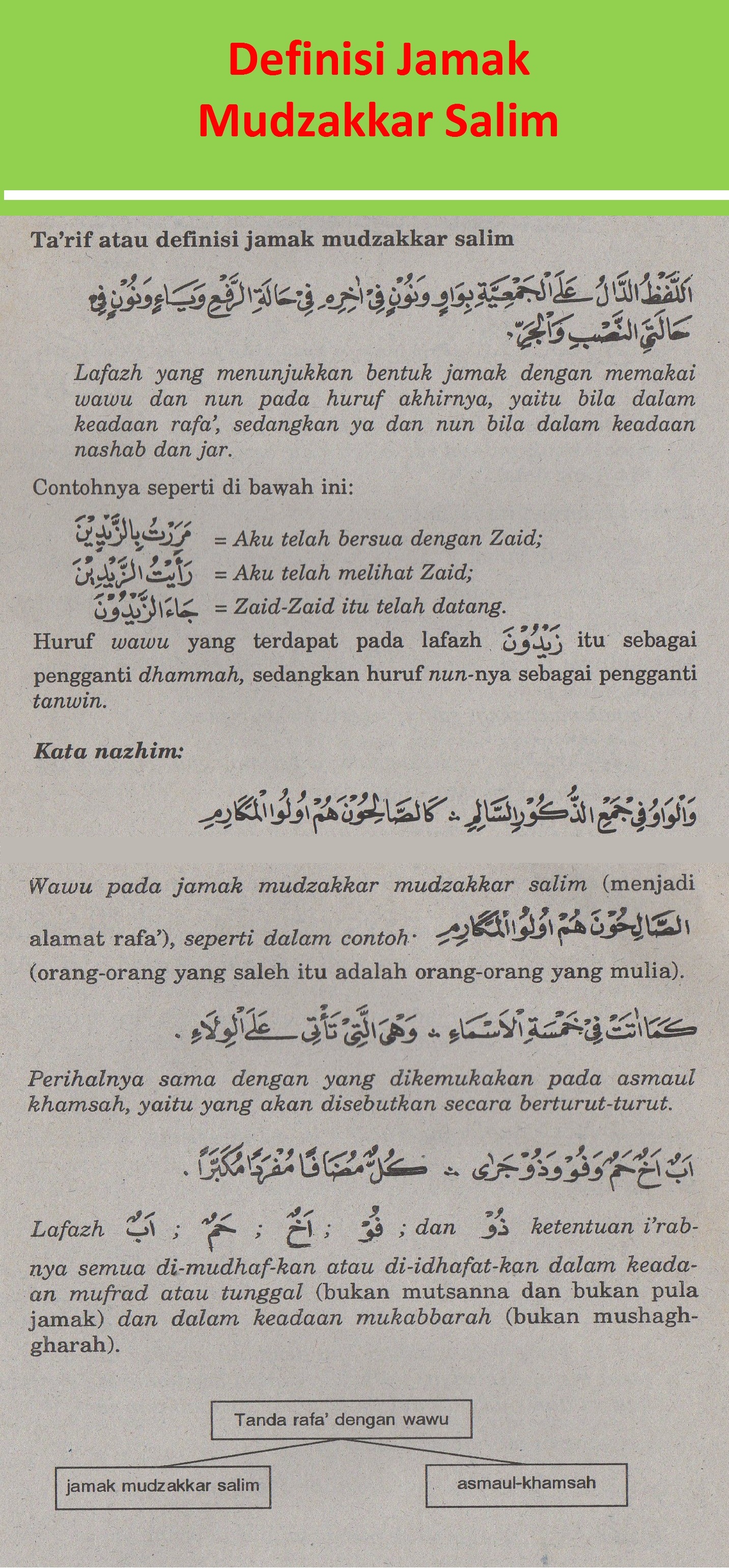 Detail Contoh Jamak Muannats Salim Dalam Al Quran Nomer 31