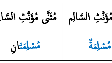 Detail Contoh Jamak Muannats Salim Dalam Al Quran Nomer 49