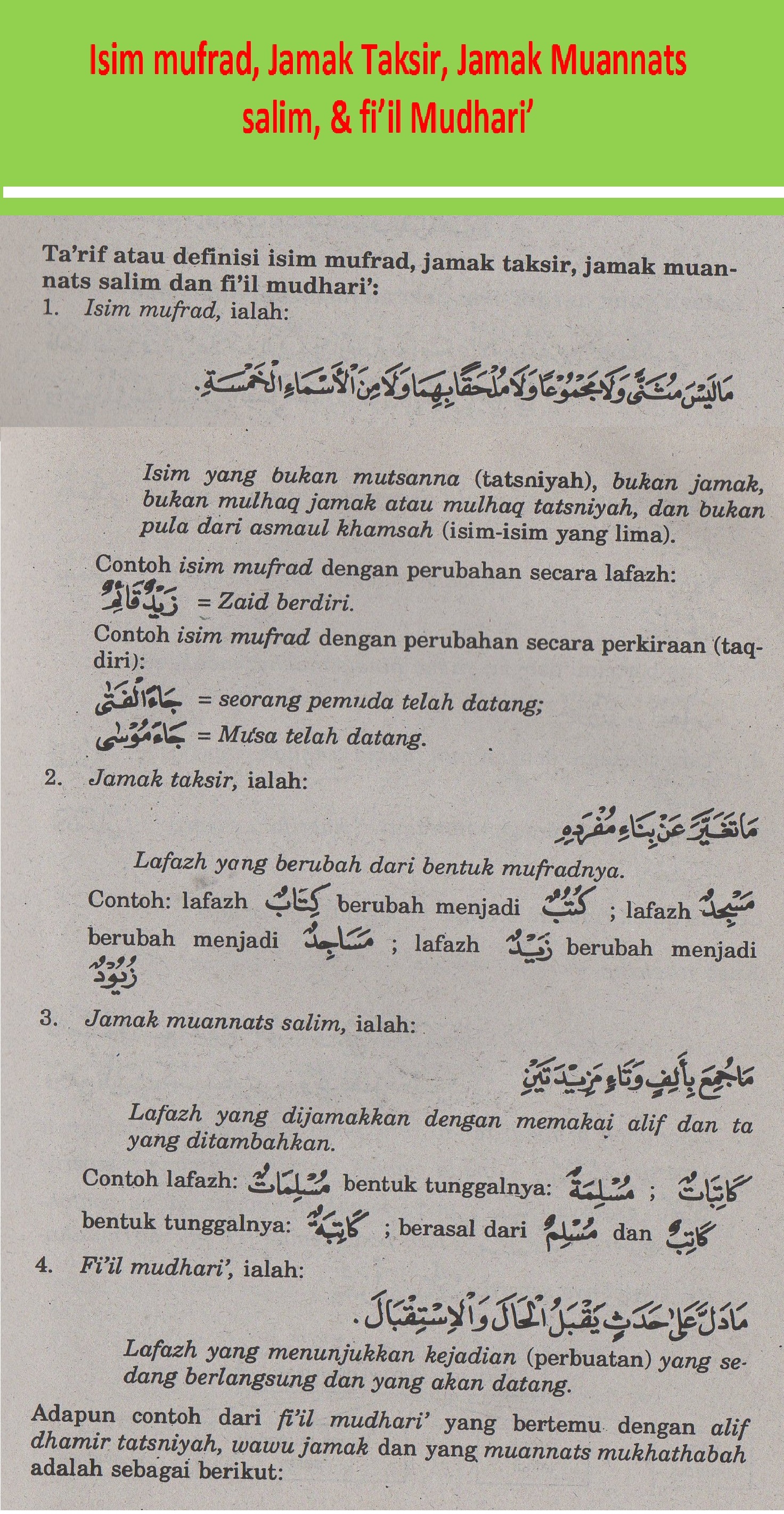 Detail Contoh Jamak Muannats Salim Dalam Al Quran Nomer 10