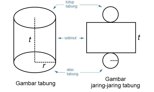 Detail Contoh Jaring Jaring Tabung Nomer 13