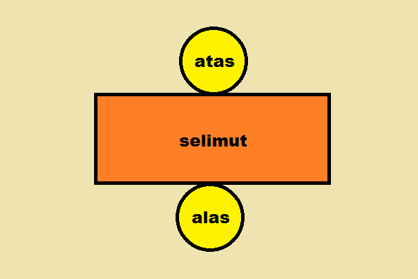 Detail Contoh Jaring Jaring Tabung Nomer 38