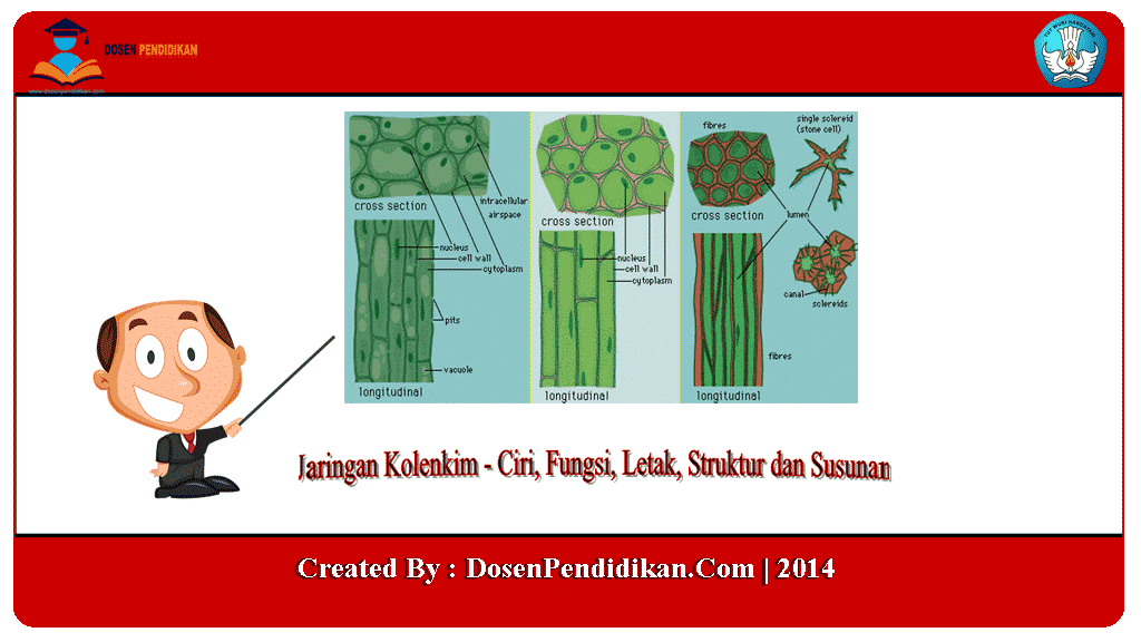 Detail Contoh Jaringan Penyokong Nomer 37