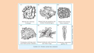 Detail Contoh Jaringan Penyokong Nomer 42