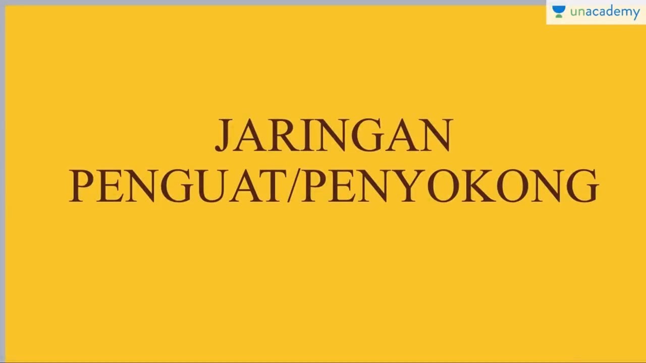 Detail Contoh Jaringan Penyokong Nomer 43