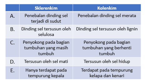 Detail Contoh Jaringan Penyokong Nomer 44