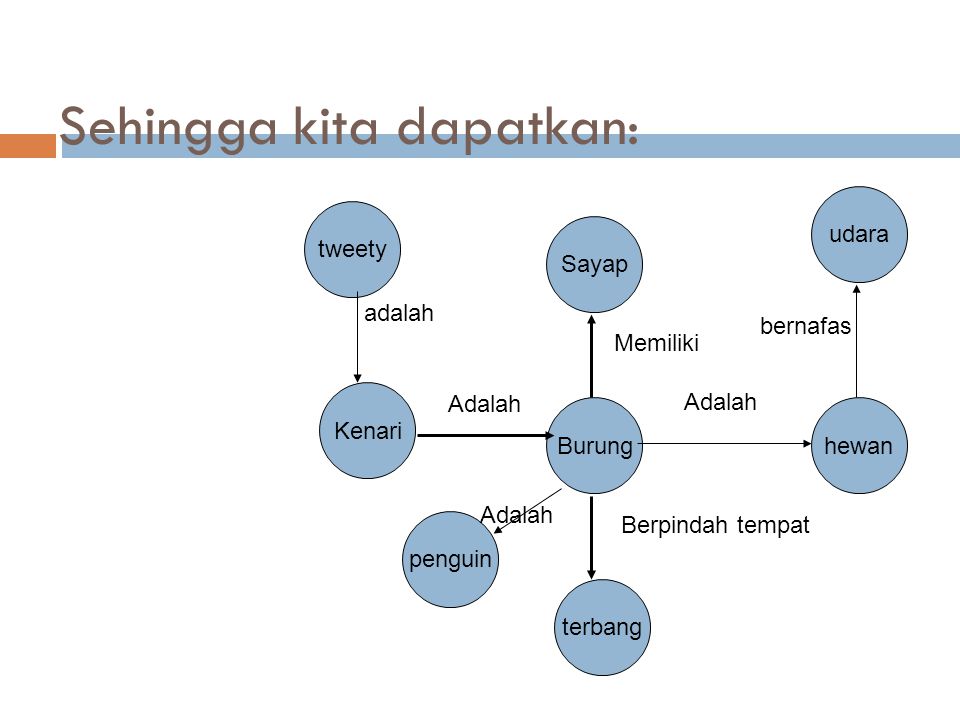 Detail Contoh Jaringan Semantik Nomer 13