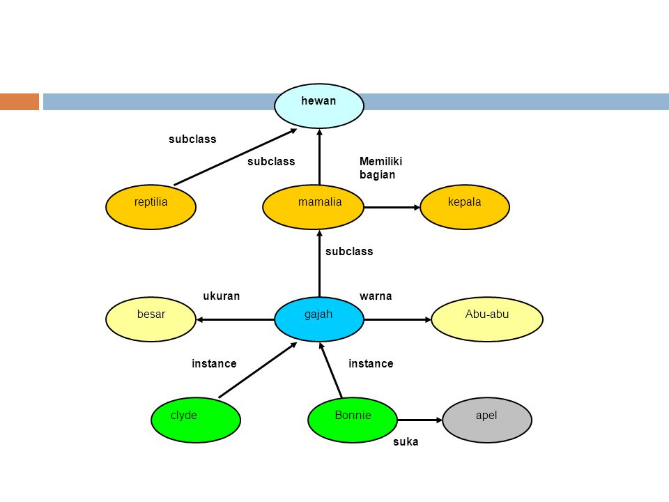 Detail Contoh Jaringan Semantik Nomer 5