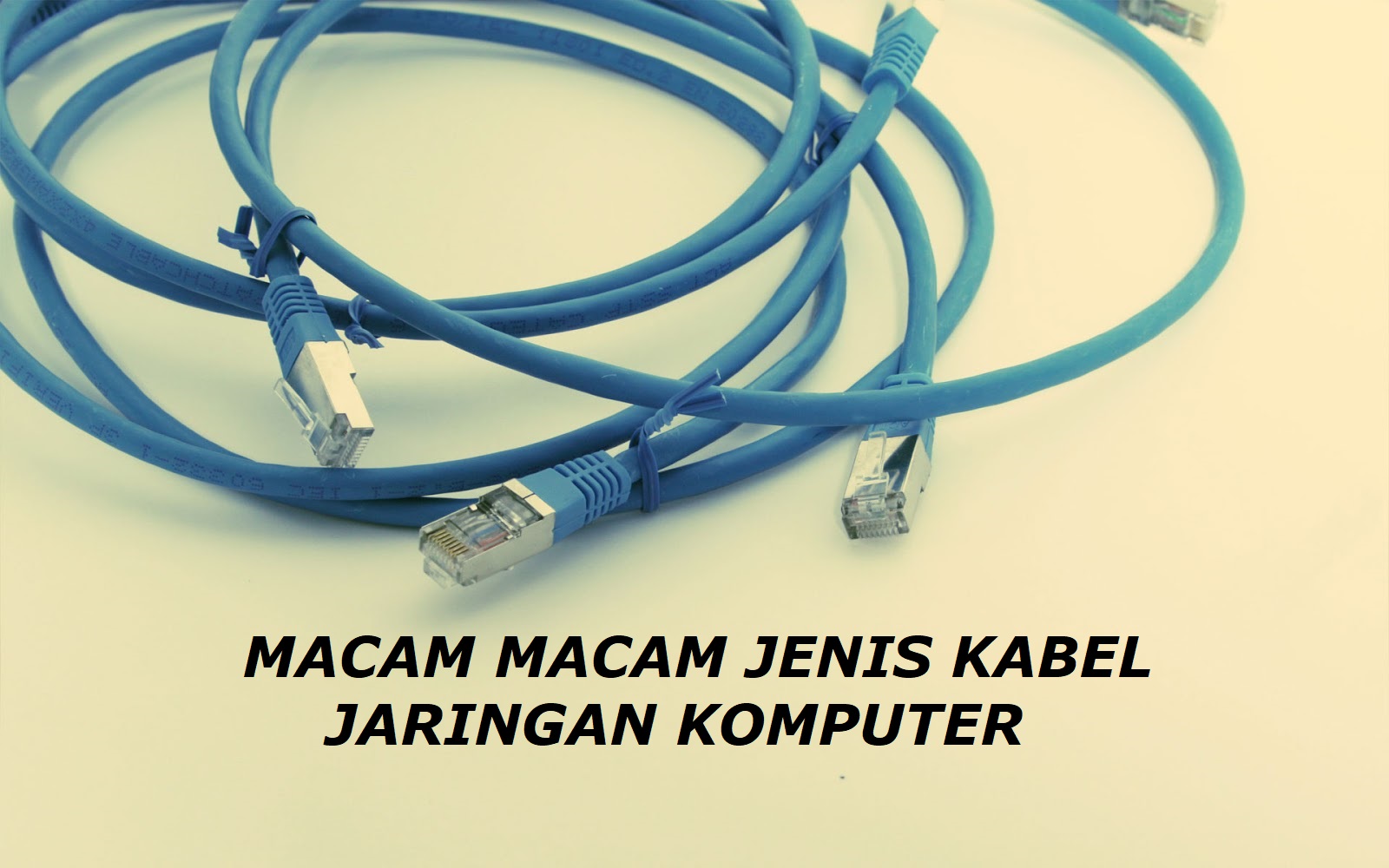 Detail Contoh Kabel Lan Nomer 50