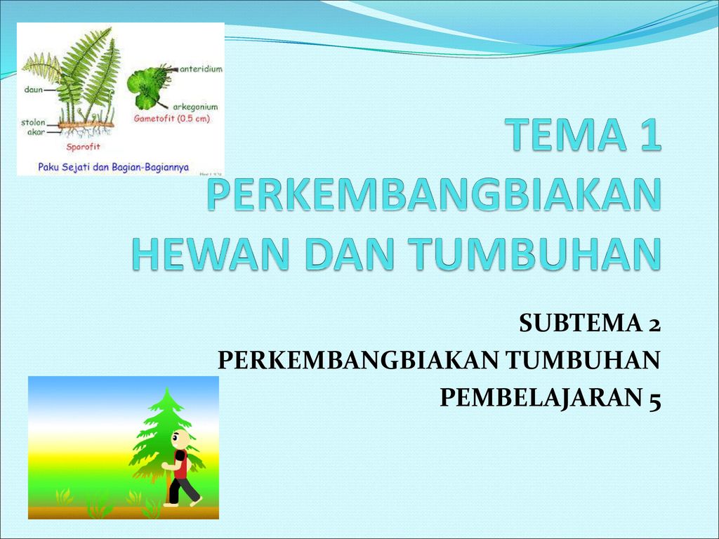 Detail Contoh Kalimat Berkembang Biak Nomer 50