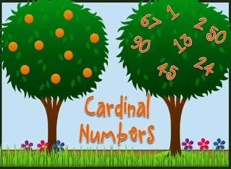 Detail Contoh Kalimat Cardinal Number Nomer 19