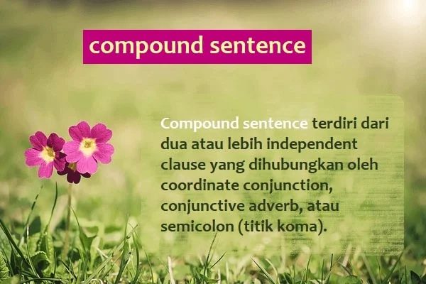 Detail Contoh Kalimat Compound Sentence Nomer 28