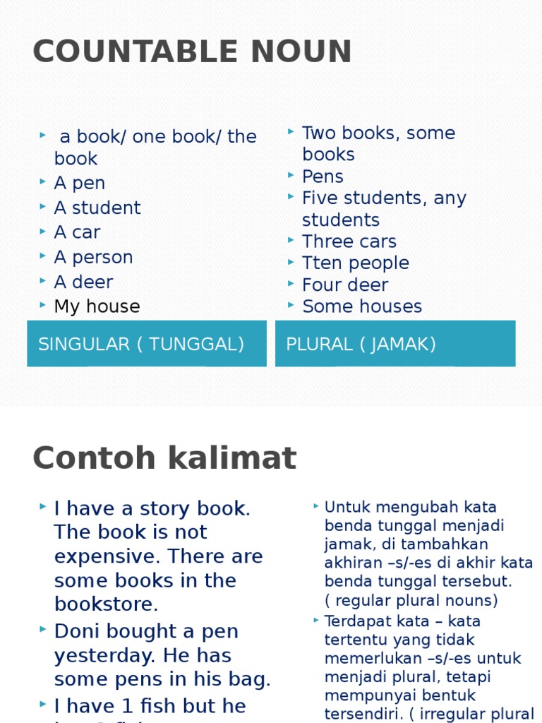 Detail Contoh Kalimat Countable Noun Nomer 21