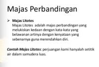 Detail Contoh Kalimat Litotes Nomer 9