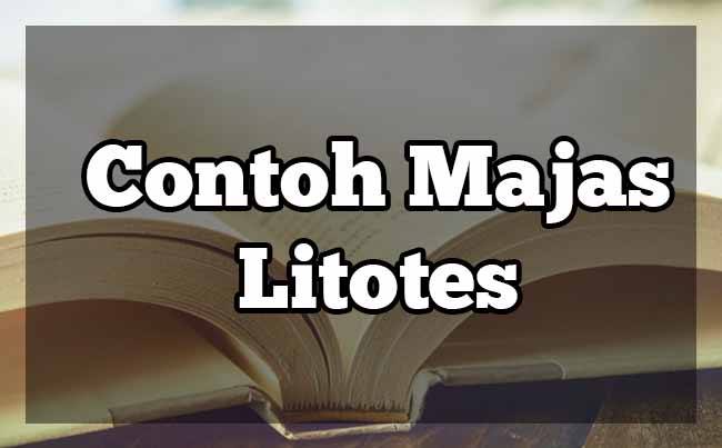 Detail Contoh Kalimat Majas Litotes Nomer 38