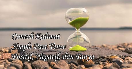 Detail Contoh Kalimat Past Tense Positif Nomer 33