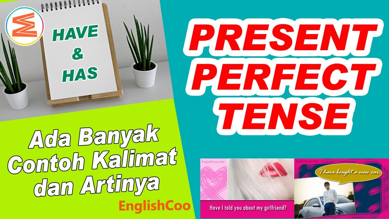 Detail Contoh Kalimat Present Perfect Tense Positif Negatif Interogatif Nomer 38