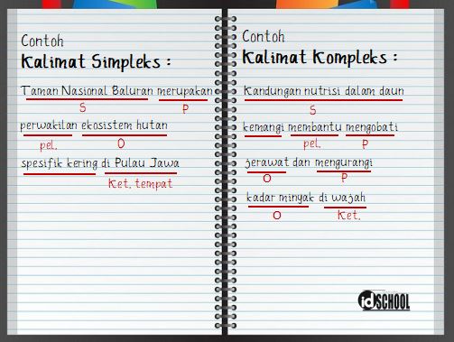 Detail Contoh Kalimat Sedangkan Nomer 32