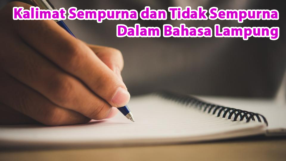 Detail Contoh Kalimat Sempurna Nomer 14